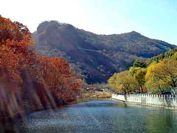 新澳天天开奖资料大全旅游团，九州未来科技